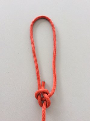 Using a bowline, tie a large loop